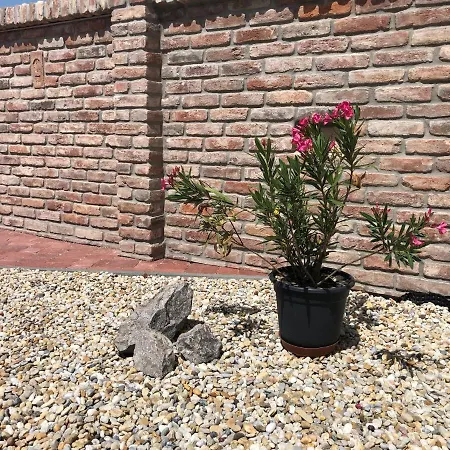 Dum Na Jihu Aparthotel Valtice